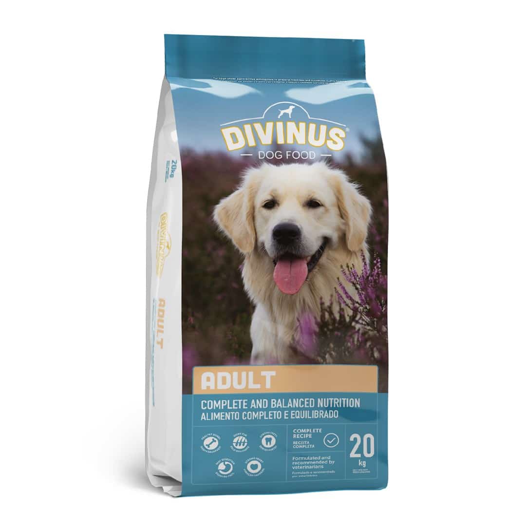 Divinus Adult Sucha Karma dla Psów Dorosłych 20kg