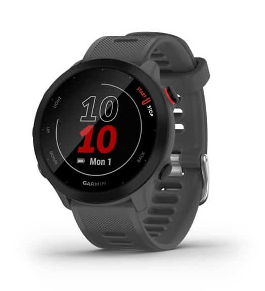Zegarek Garmin Forerunner 55, 42mm Monterra Grey