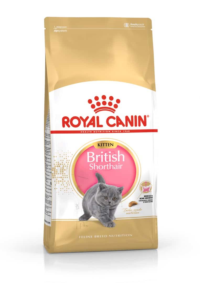 Royal Canin FBN British Shorthair Kitten 2 kg