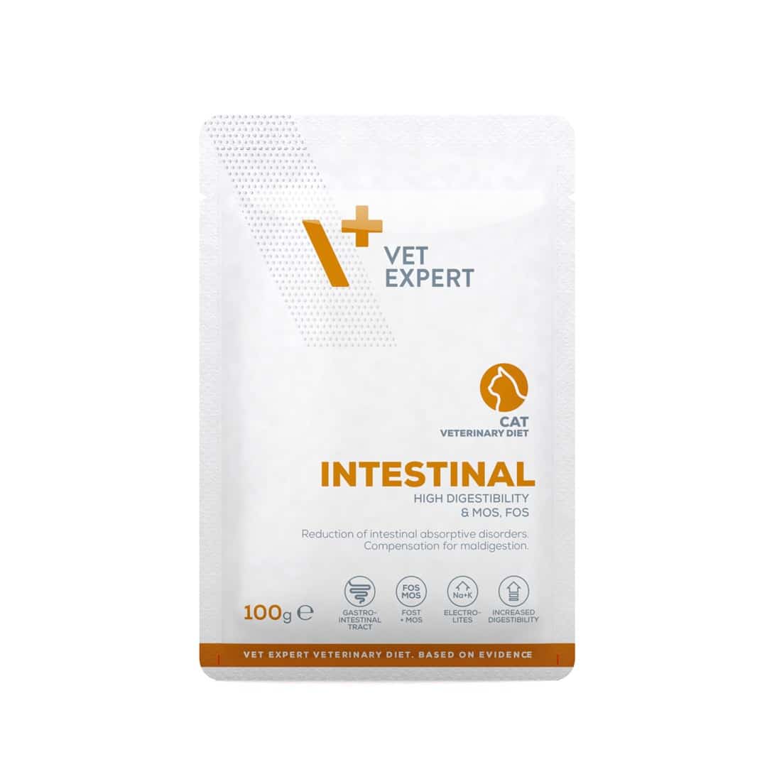 VetExpert Veterinary Diet Intestinal cat 100g
