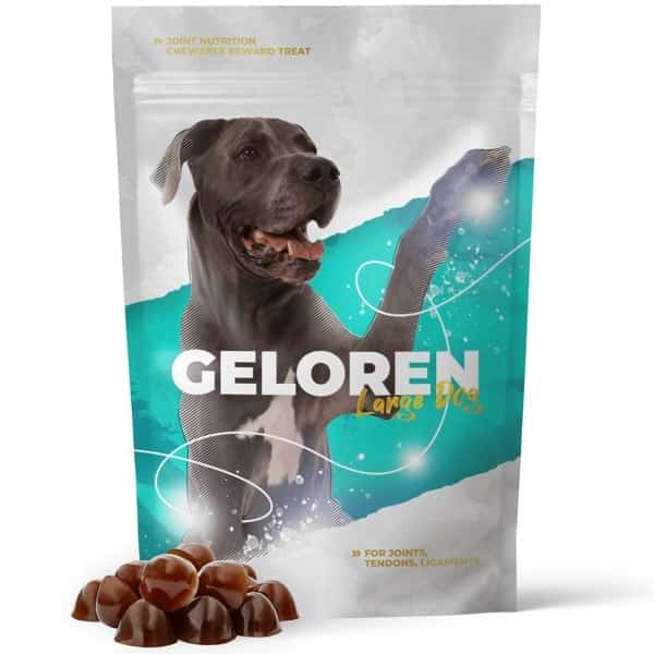 GELOREN Large Dog Suplement 420g - Wspomaganie Stawów