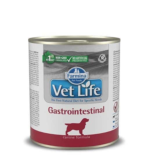 FARMINA Vet Life Gastrointestinal Canine - 300 g