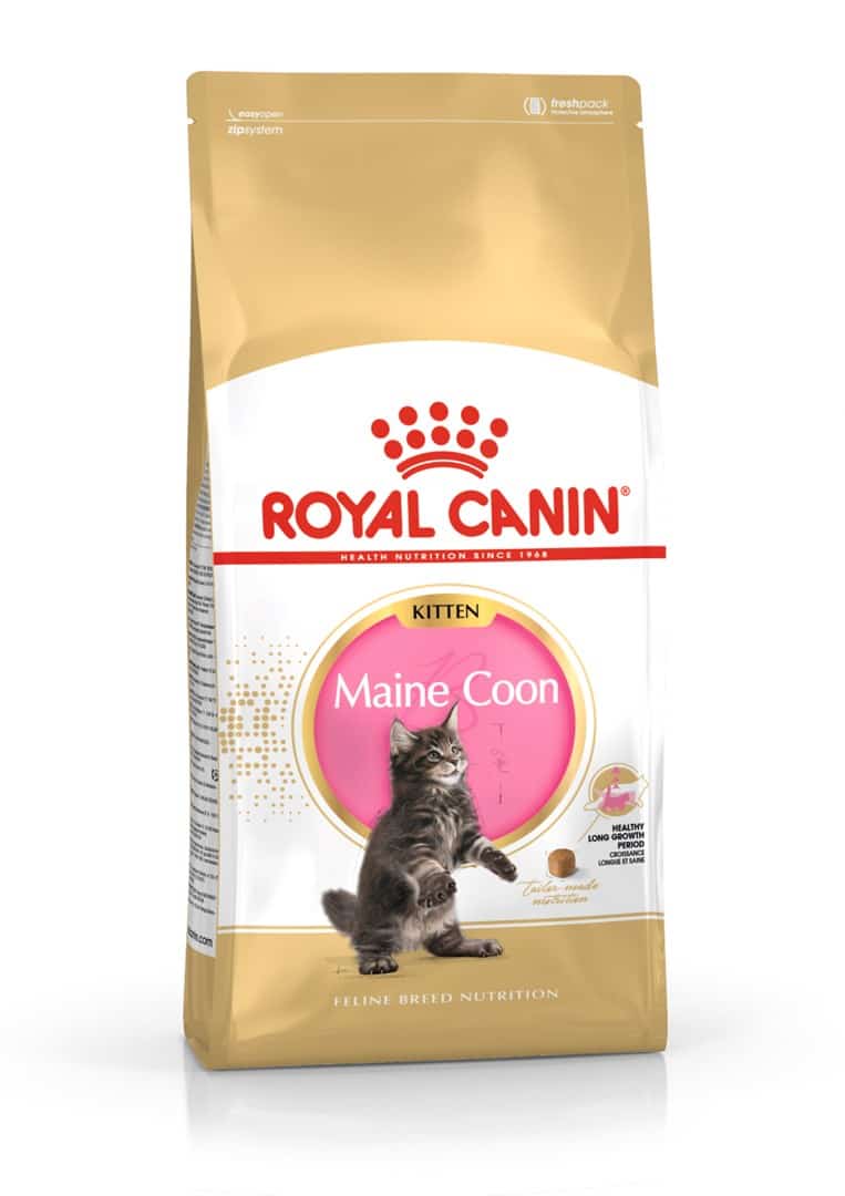 ROYAL CANIN FBN Maine Coon Kitten - Sucha Karma 2kg