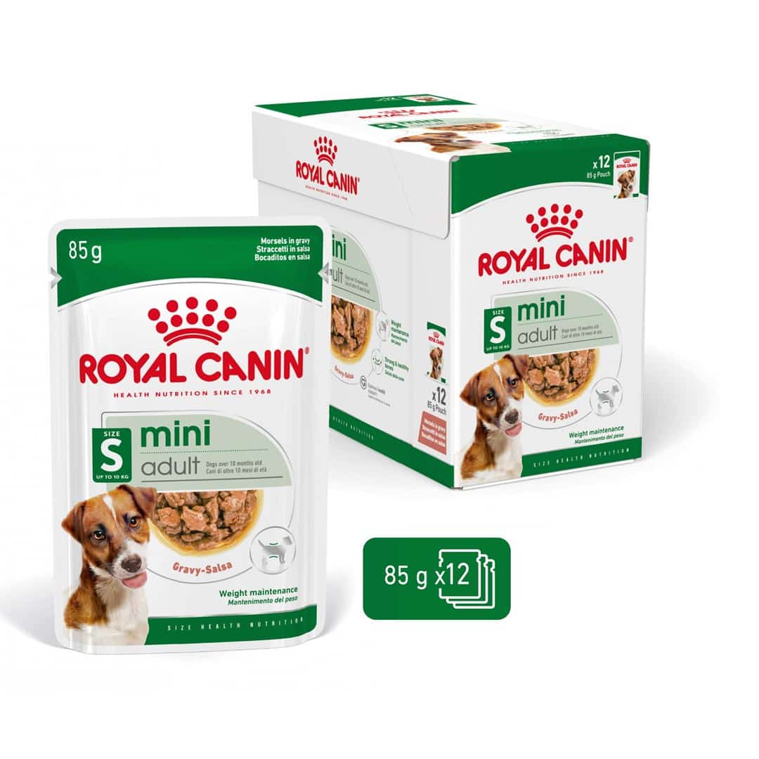 ROYAL CANIN SHN Mini Adult - 12X85g