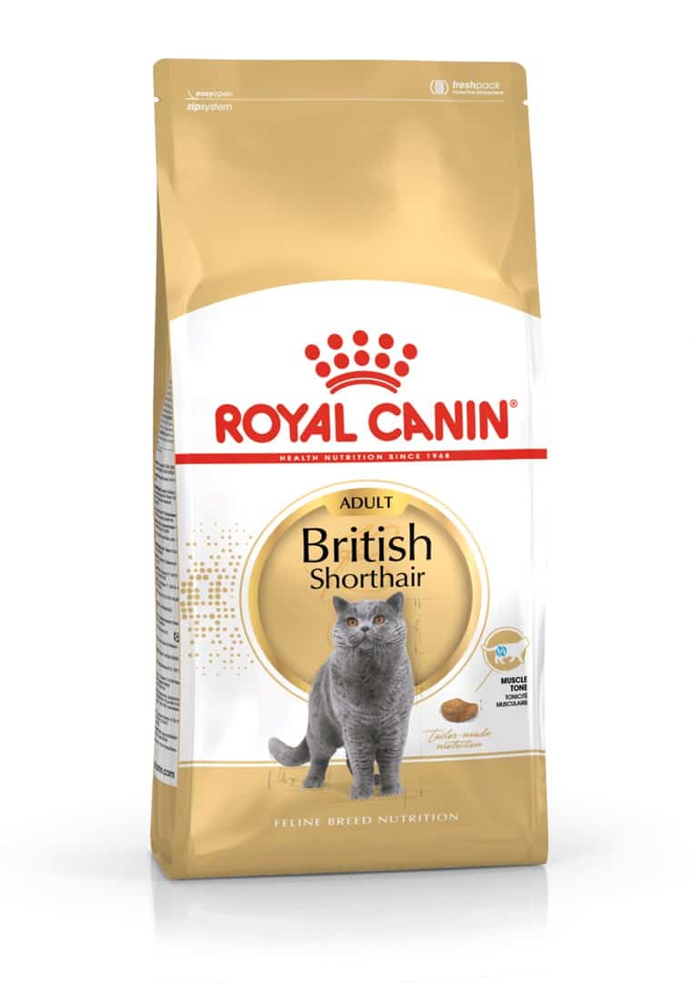 ROYAL CANIN FBN British Shorthair Adult 2kg