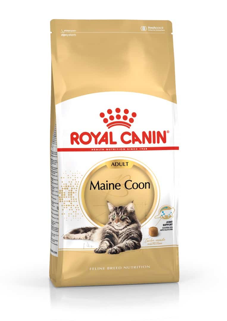 Royal Canin FBN Maine Coon Adult 4kg Sucha Karma