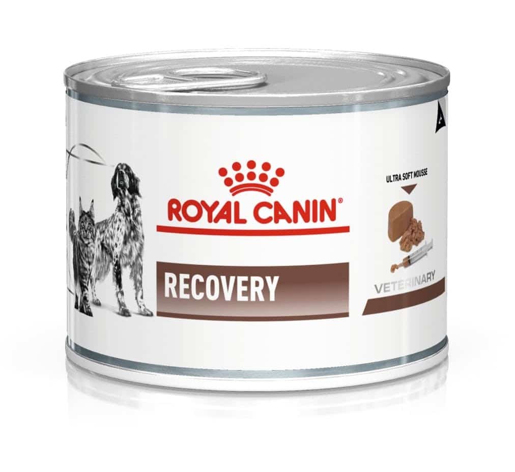 ROYAL CANIN Veterinary Recovery - 195 g