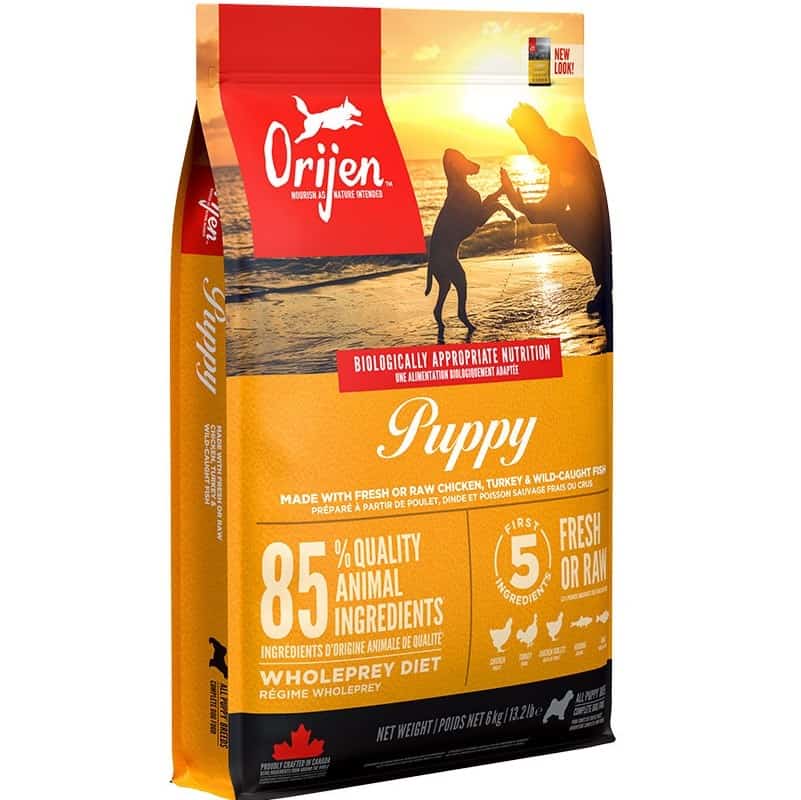 ORIJEN Puppy 6kg - Karma Sucha dla Puppies