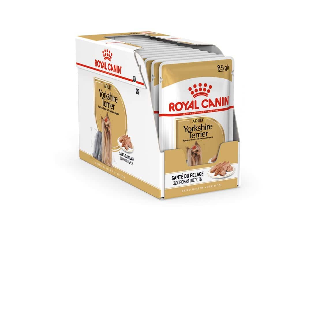 ROYAL CANIN BHN Yorkshire Terrier Adult - 12x85g