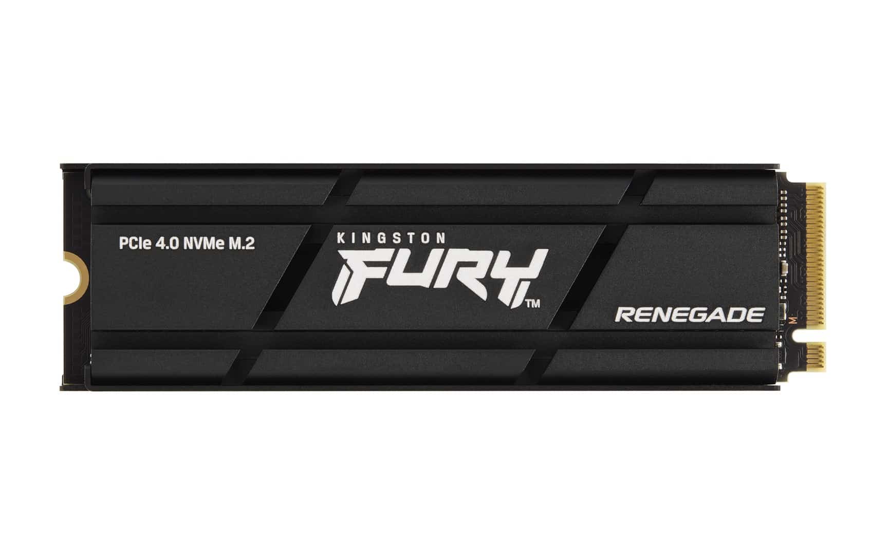 Kingston FURY Renegade SSD (SFYRDK)