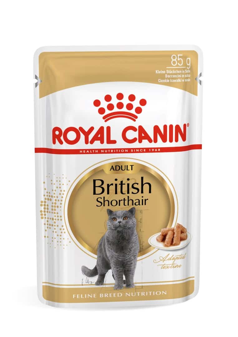 ROYAL CANIN FBN British Shorthair Adult 12x85g