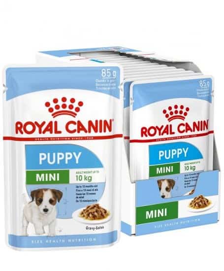 ROYAL CANIN SHN Mini Puppy - 12X85 g