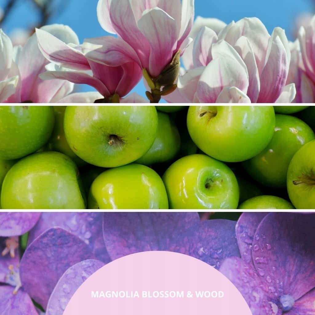 Pałeczki zapachowe 250ml MAGNOLIA BLOSSOM & WOOD MILLEFIORI