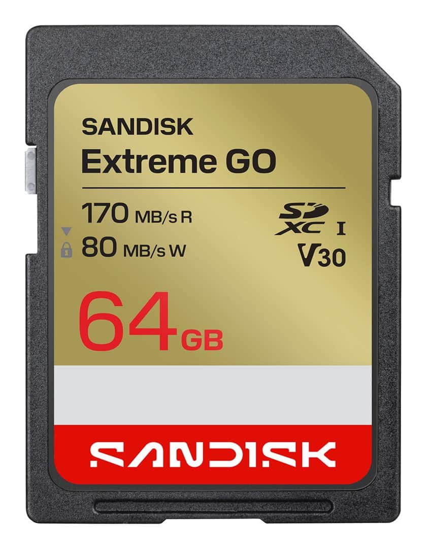 Sandisk Extreme Go SD UHS-I 64GB SD 170MB/s(R) / 80MB/s(W) — zdjęcie 1 z 2