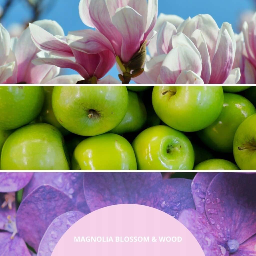 Pałeczki zapachowe 250ml MAGNOLIA BLOSSOM & WOOD MILLEFIORI — zdjęcie 1 z 3