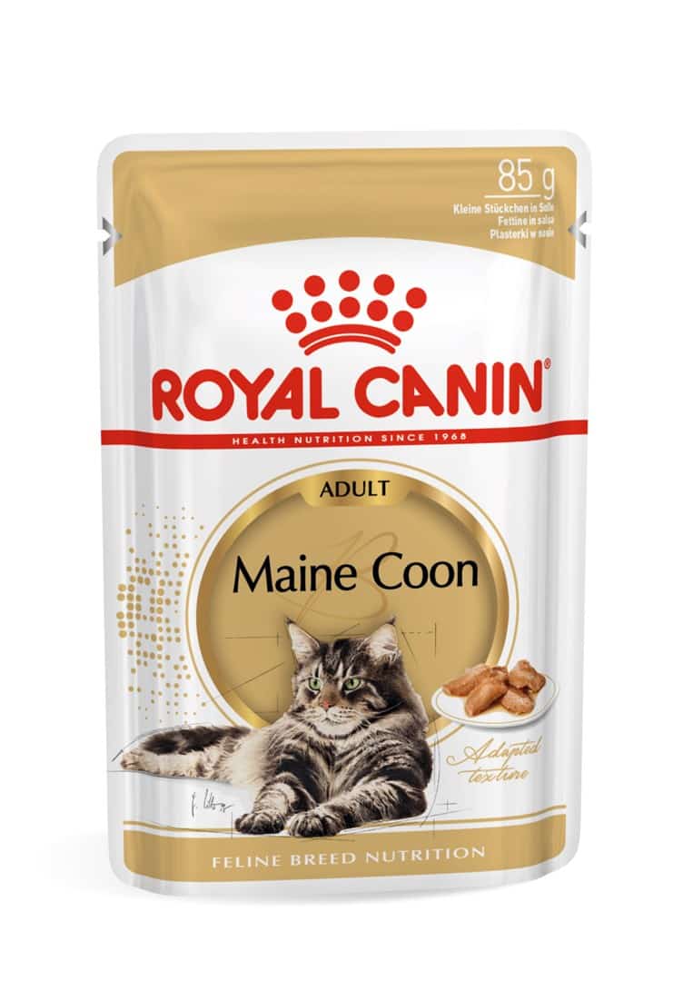 ROYAL CANIN FBN Maine Coon - Mokra Karma 12x85g