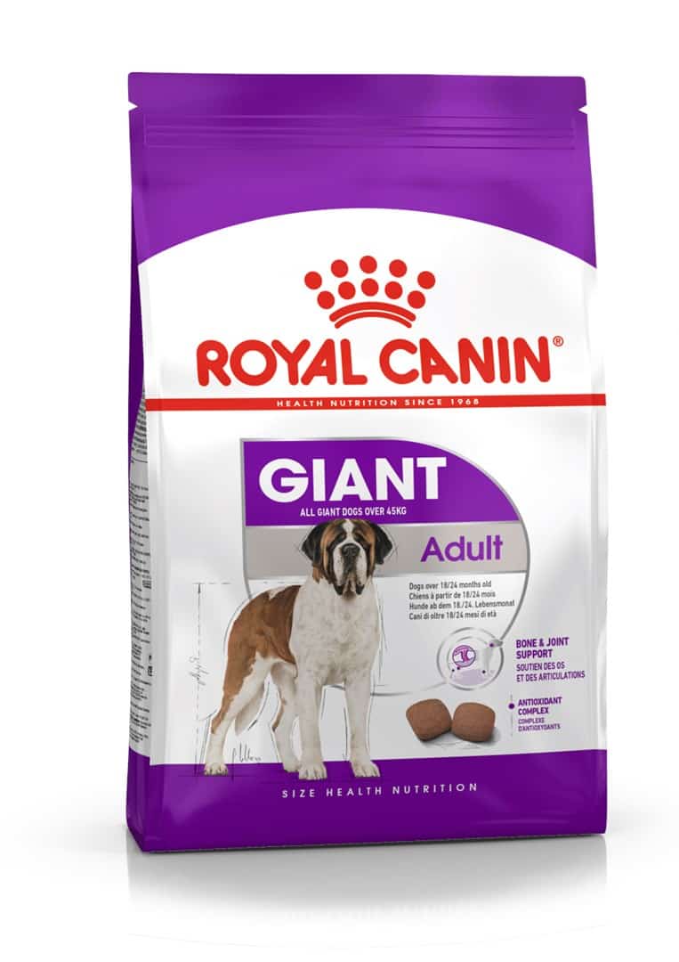 ROYAL CANIN SHN Giant Adult - Sucha Karma 15 kg