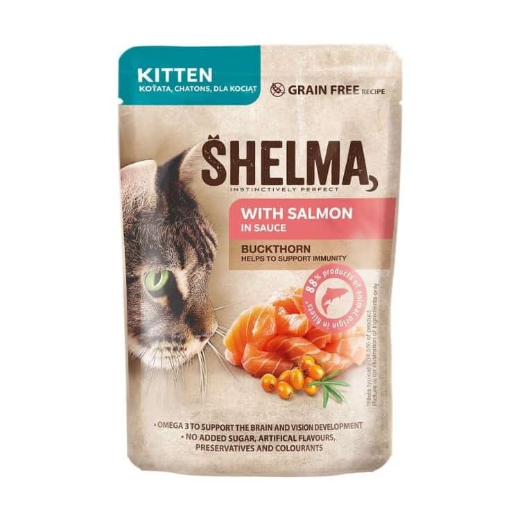 SHELMA saszetka 85g dla kociąt z łościem i rokitnikiem