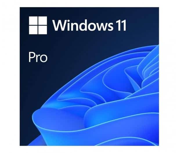 MS Windows 11 Professional 64bit Polish DVD