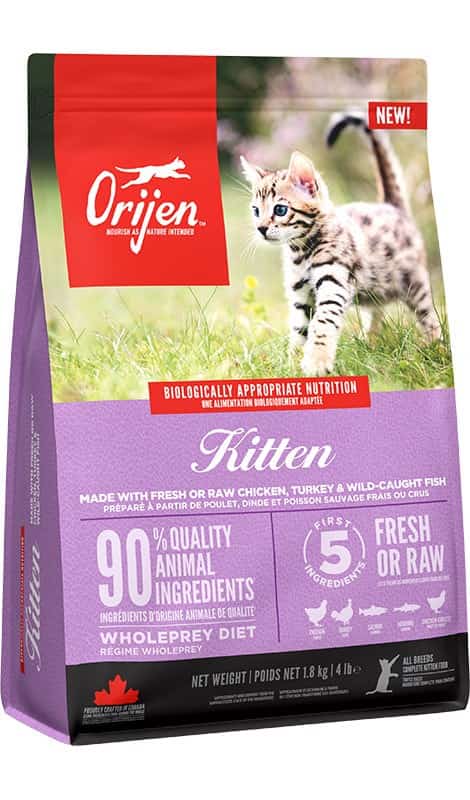 ORIJEN Kitten Sucha Karma 1,8kg dla Kociąt