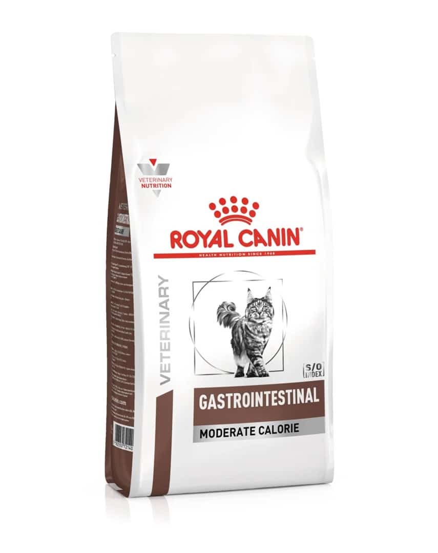 ROYAL CANIN Intestinal Gastro 0,4kg Sucha