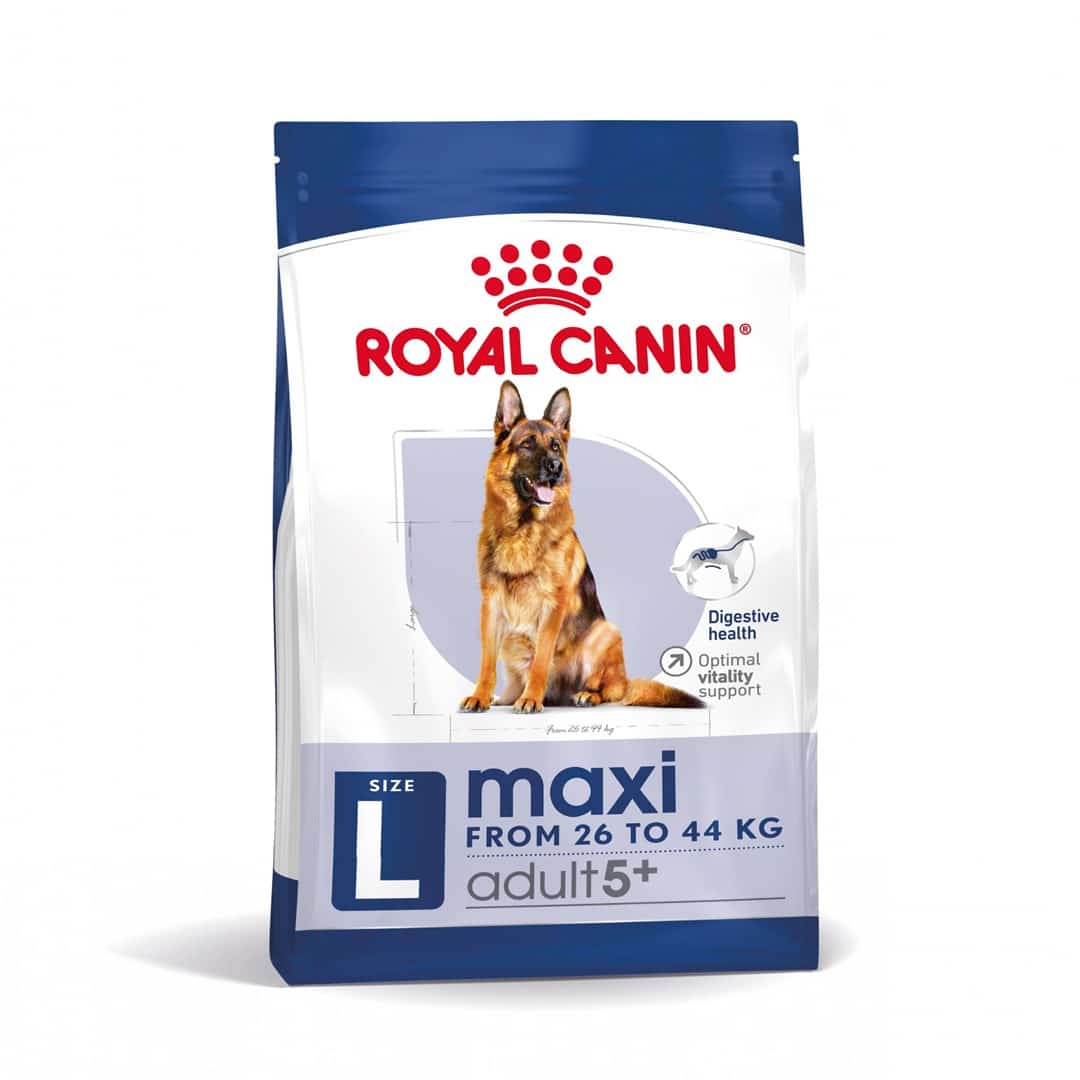 ROYAL CANIN SHN Maxi Adult 5+ Sucha Karma 15 kg