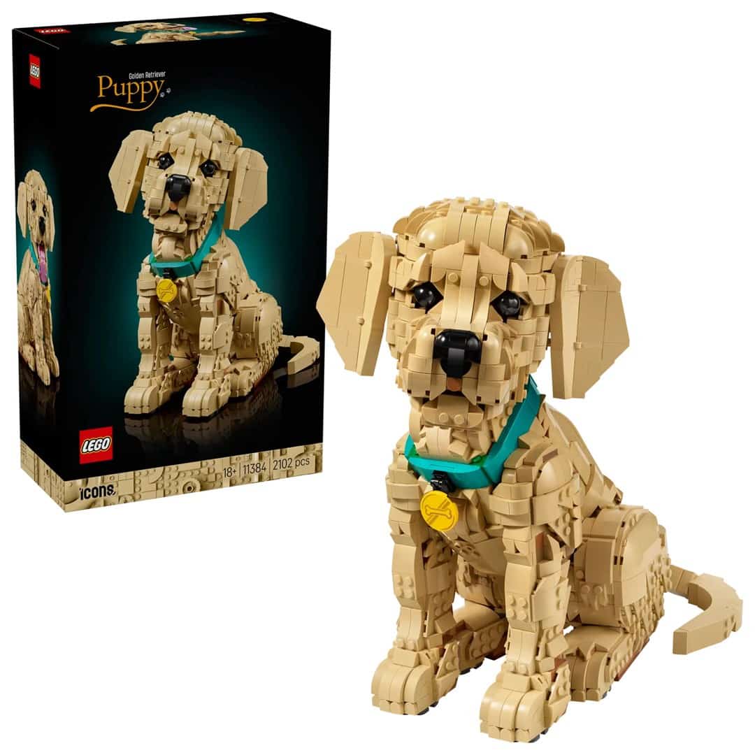 LEGO Icons - Szczeniak golden retriever 11384