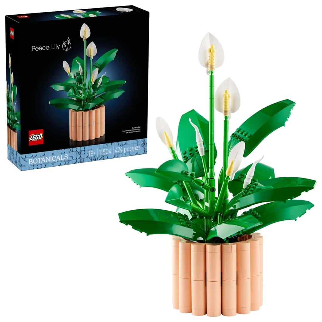 Zestaw LEGO Botanical Collection 11504 - Skrzydłokwiat