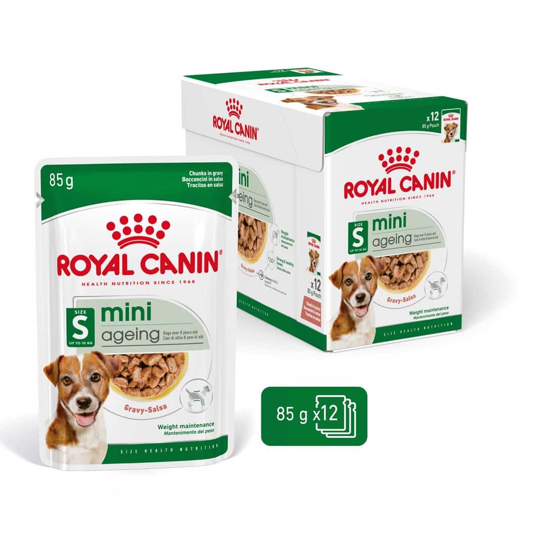 ROYAL CANIN Mini Ageing 12+ - 12x 85 g