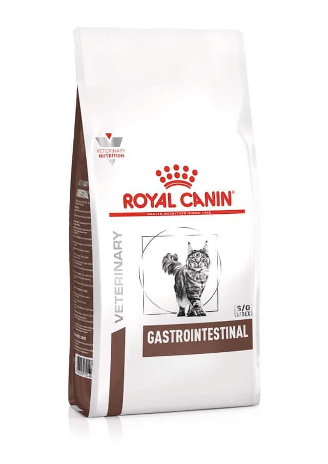 ROYAL CANIN Intestinal Gastro Cat 2kg - Sucha Karma
