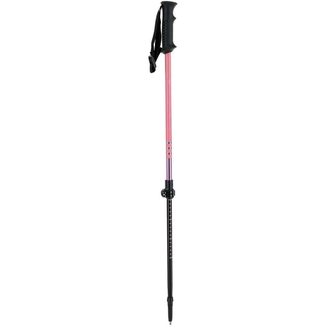 Kije VIKING Kitsune Jr Trekking dla dzieci