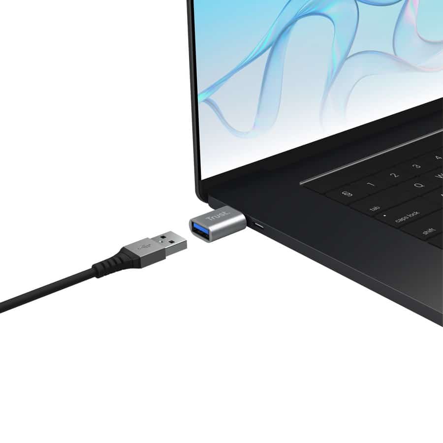 Adapter TRUST Calyx USB-C na USB-A (2 sztuki)