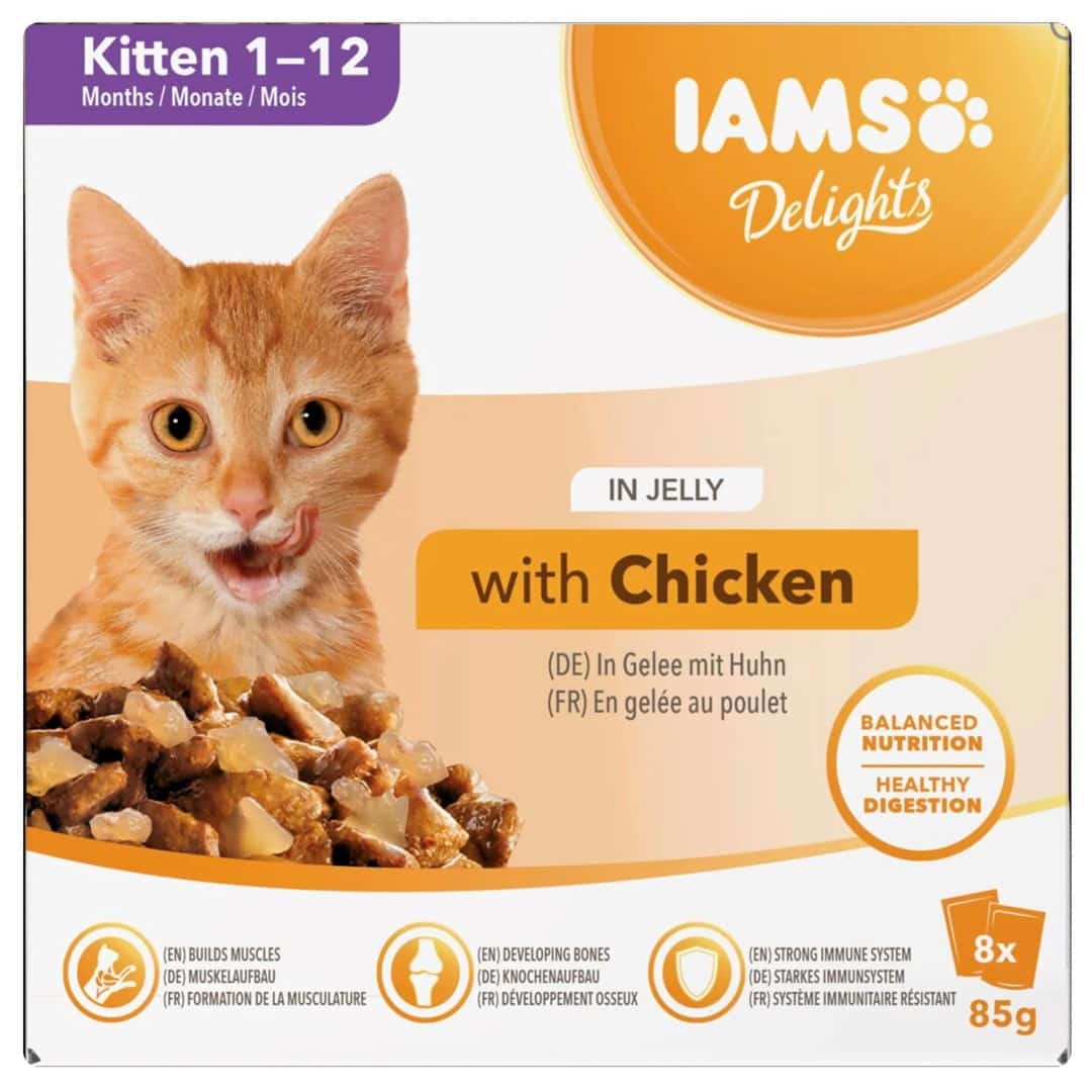 Mokra karma dla kociąt IAMS Delights w galaretce 8x85g